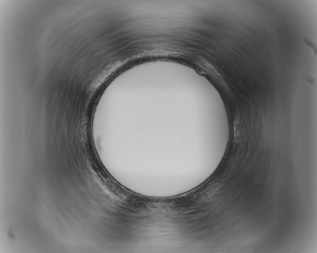 X0000099550436200806131215