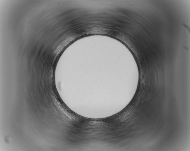 X0000099550437200806131215