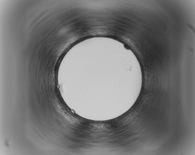 X0000099550439200806131216