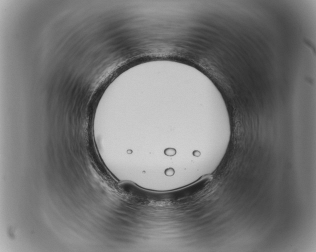 X0000099550440200806131216