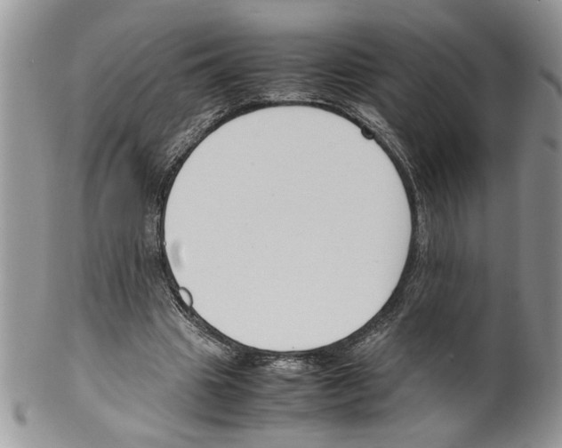 X0000099550441200806131216