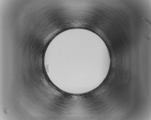 X0000099550442200806131216