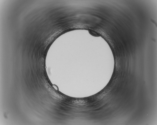 X0000099550445200806131216