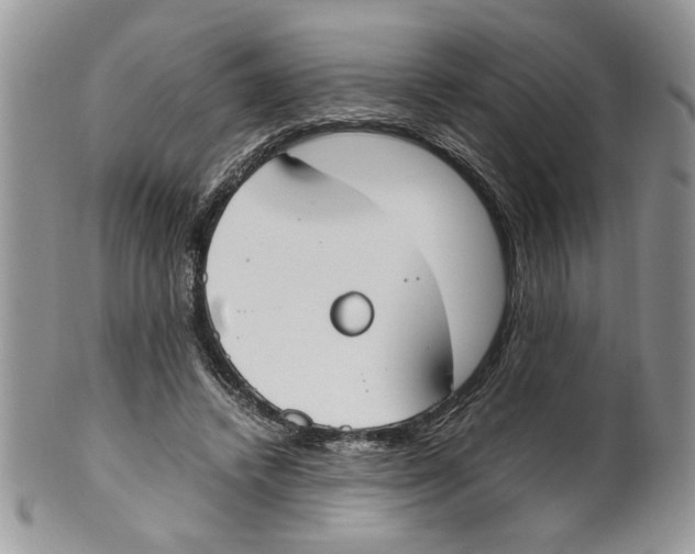 X0000099550448200806131216