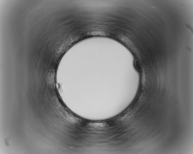 X0000099550449200806131216