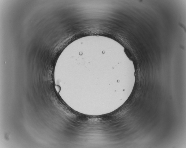 X0000099550450200806131216