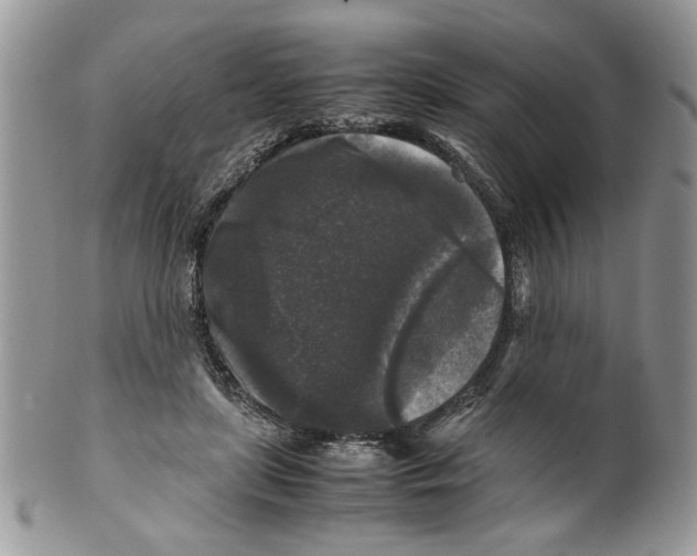 X0000099550451200806131216