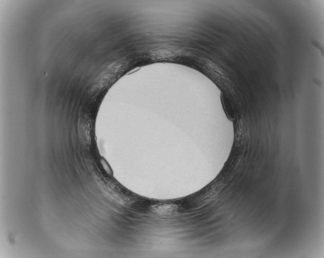 X0000099550452200806131216