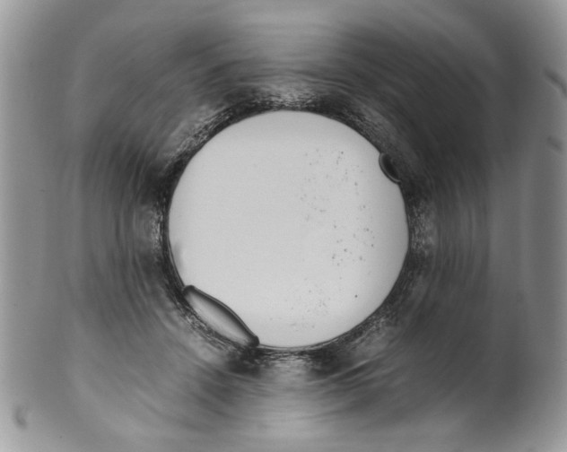 X0000099550456200806131216