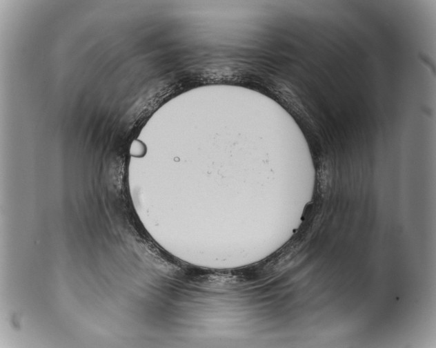 X0000099550458200806131216