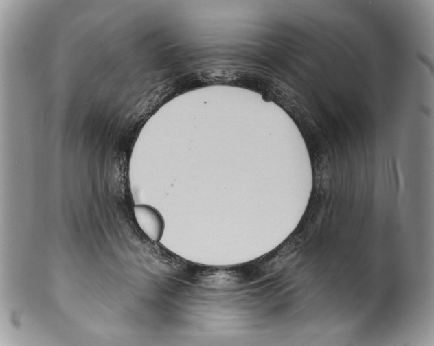 X0000099550460200806131216