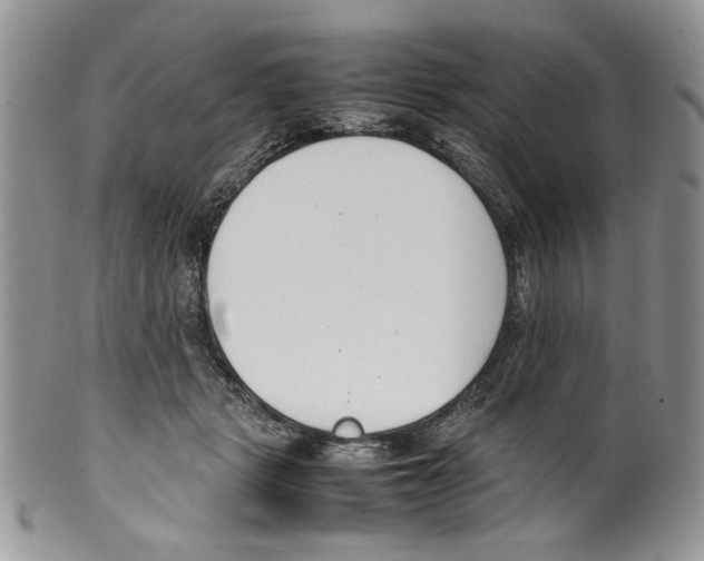 X0000099550461200806131216