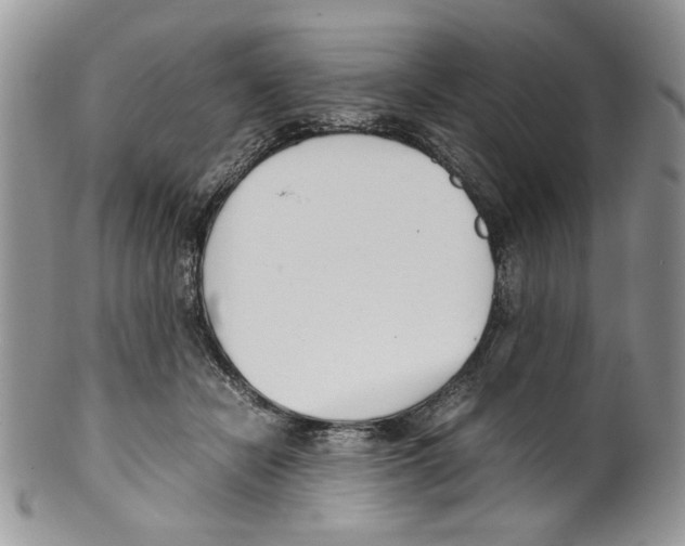 X0000099550462200806131216