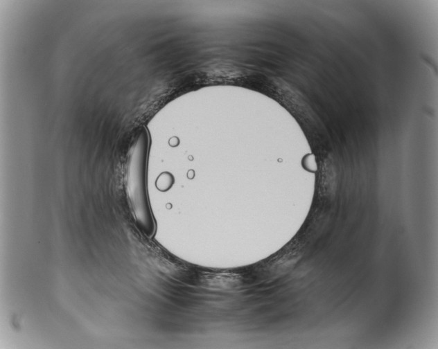 X0000099550463200806131216