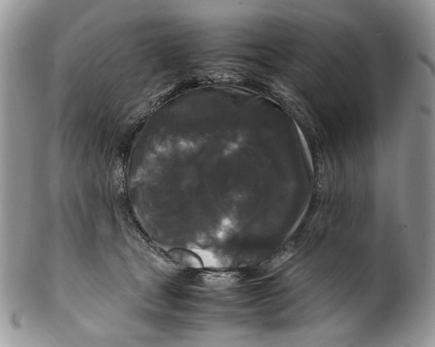 X0000099550465200806131216