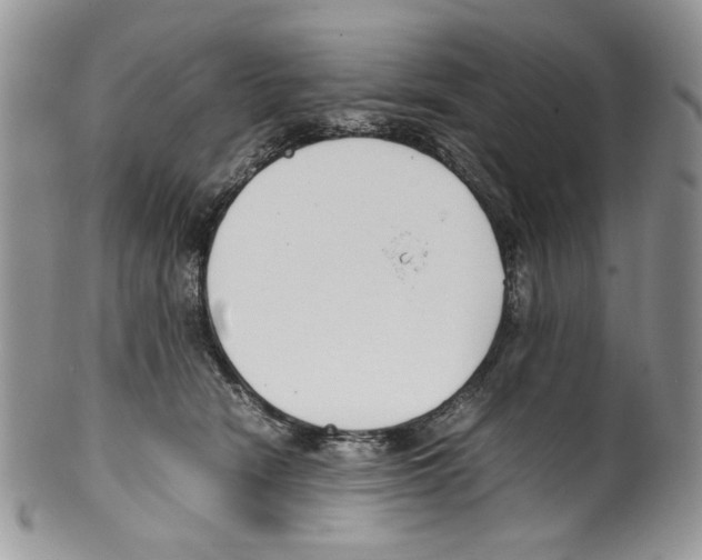 X0000099550466200806131216