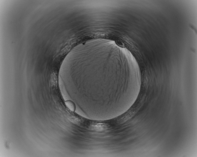 X0000099550467200806131216