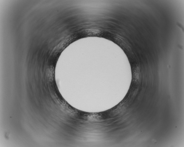 X0000099550468200806131216