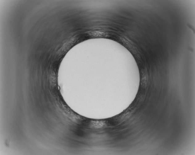 X0000099550469200806131216