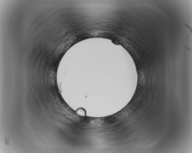 X0000099550470200806131216