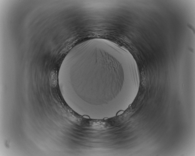 X0000099550471200806131216