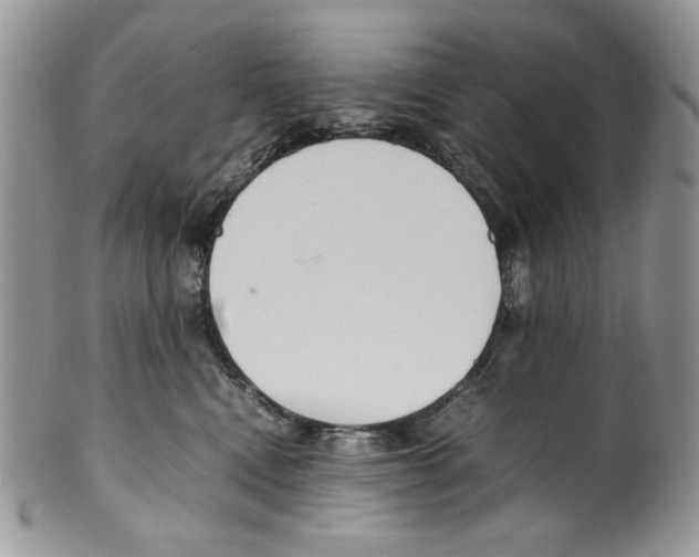 X0000099550472200806131216