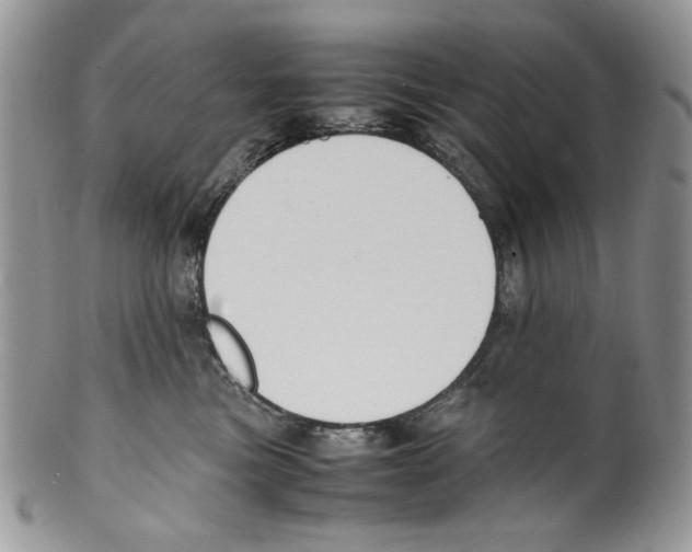 X0000099550473200806131216