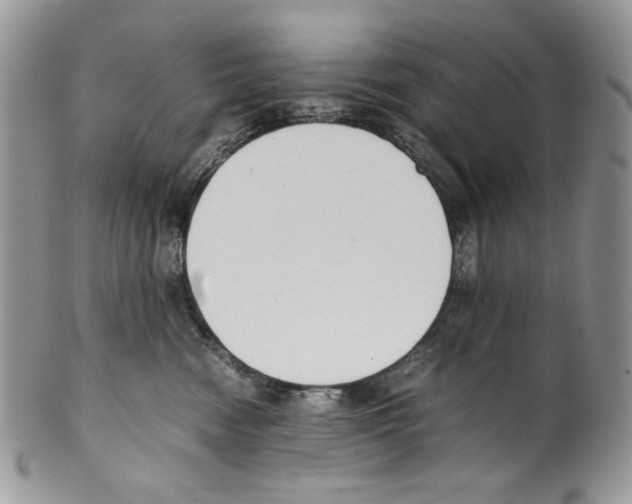 X0000099550474200806131216