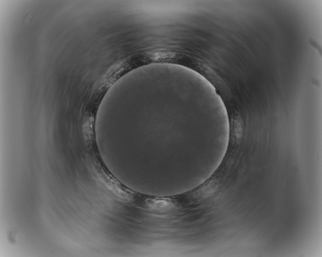 X0000099550475200806131216