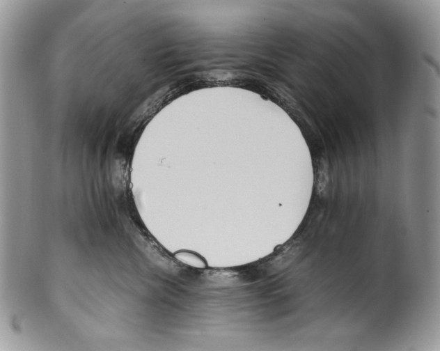 X0000099550476200806131216