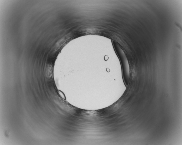 X0000099550478200806131216