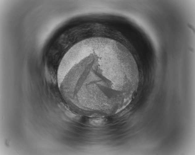 X0000099550479200806131216