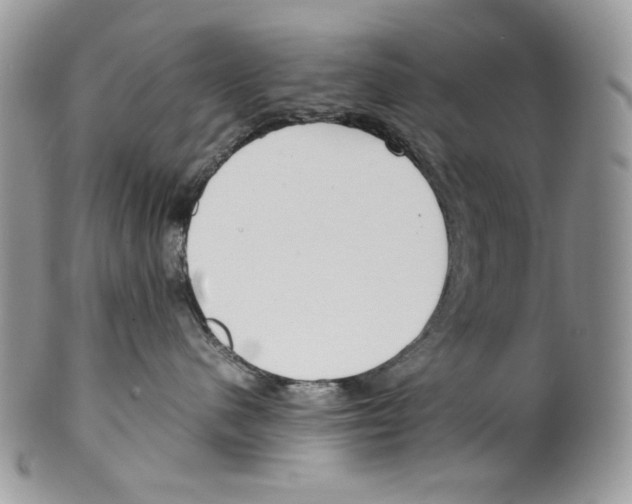 X0000099550480200806131216