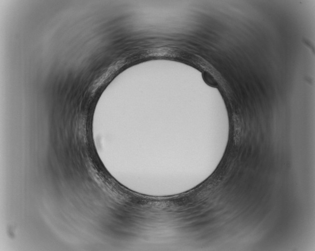 X0000099550482200806131215