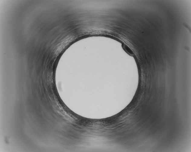 X0000099550485200806131215