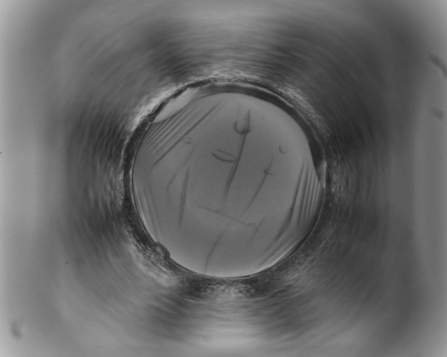 X0000099550488200806131215