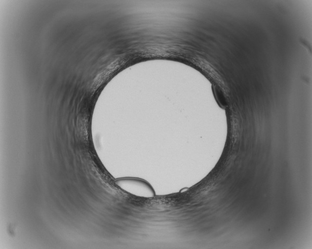 X0000099550489200806131215