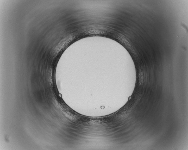 X0000099550490200806131215