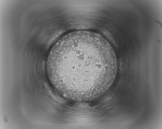 X0000099550491200806131215