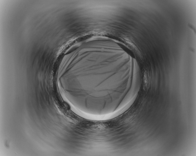 X0000099550492200806131215