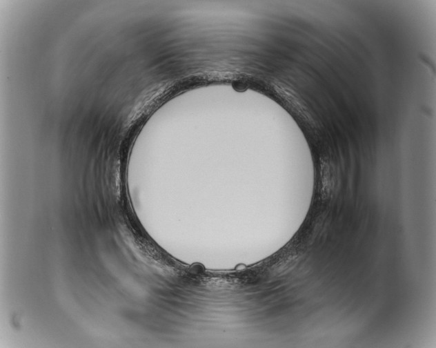 X0000099550494200806131215