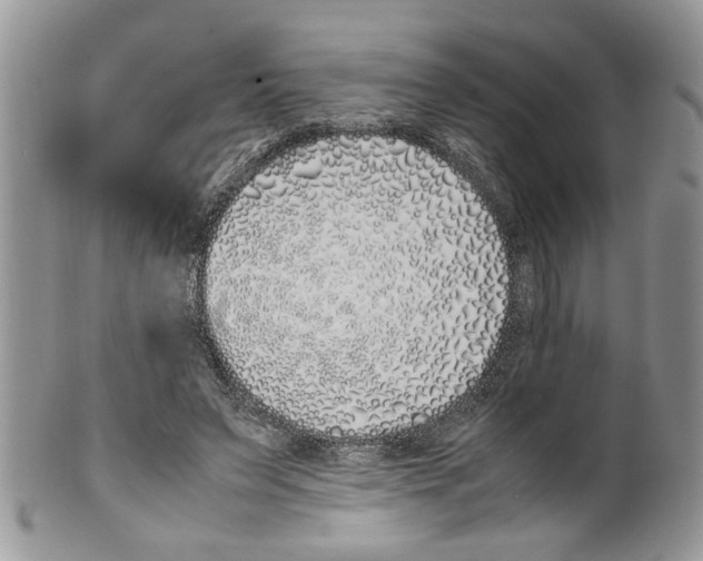 X0000099550495200806131215