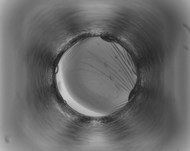 X0000099550496200806131215