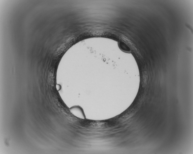 X0000099550497200806131215