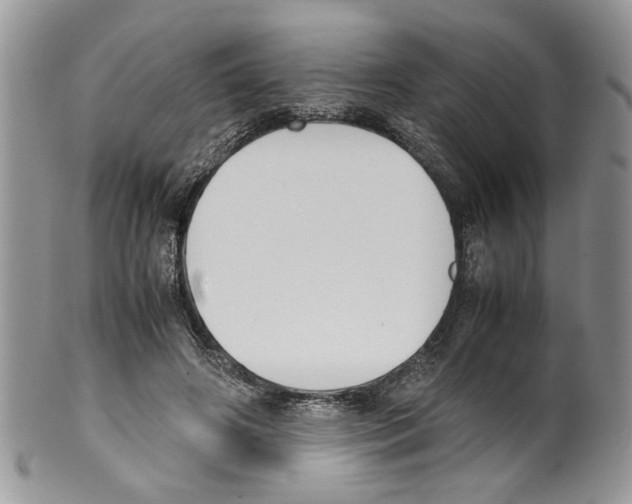 X0000099550498200806131215