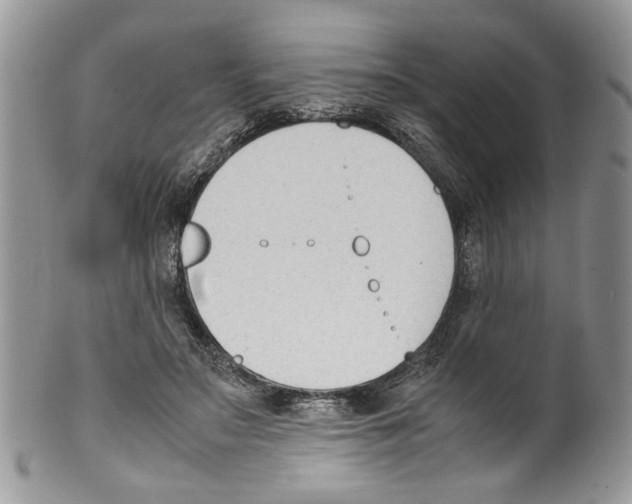 X0000099550499200806131215