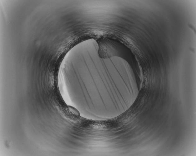 X0000099550500200806131215