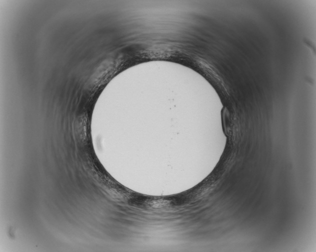 X0000099550501200806131215