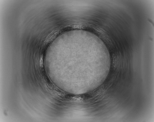 X0000099550502200806131215