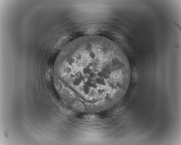 X0000099550503200806131215